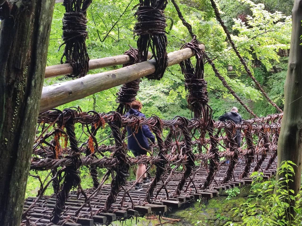Walking on bridge in Japan