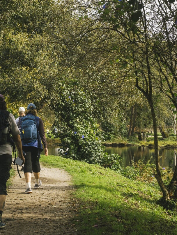 walking riverside camino