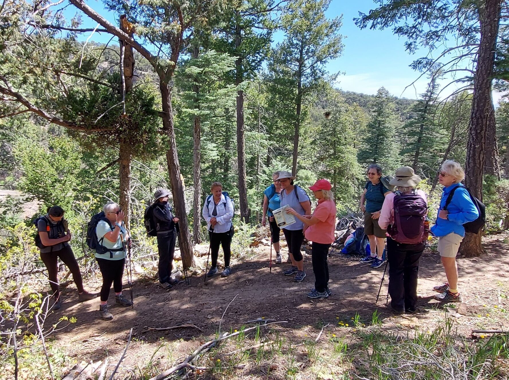 Group of women in a forest on the New Mexico tour