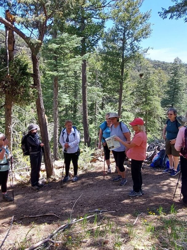 New Mexico Tour: All-Women Hiking & Exploration