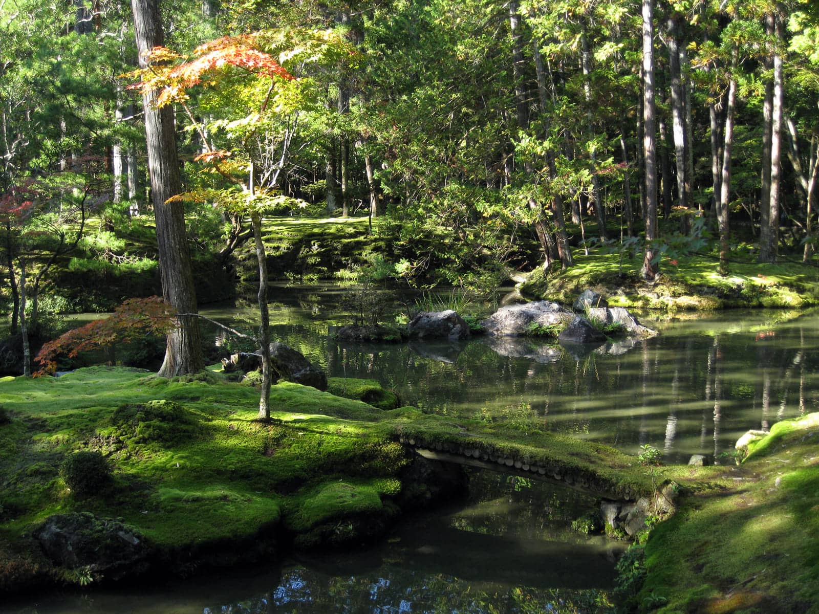 Zen garden in Japan