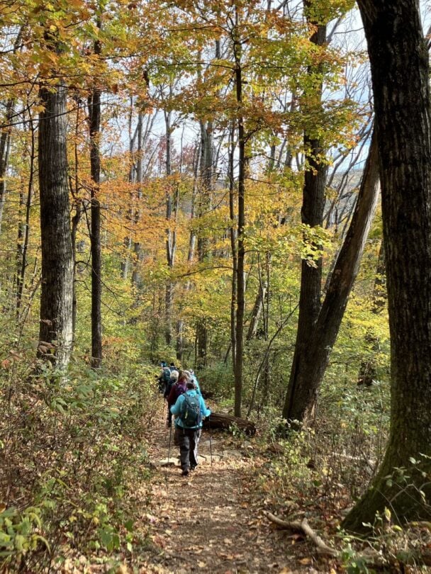 Shenandoah National Park hiking tour