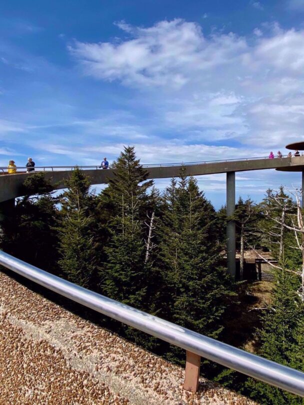 Great Smoky Mountains Hiking Tour