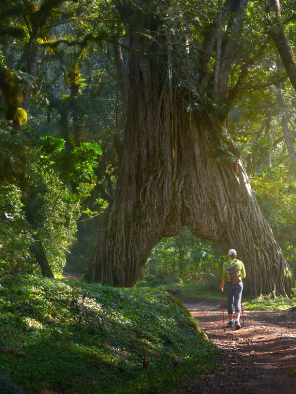 Mount Meru guided climb