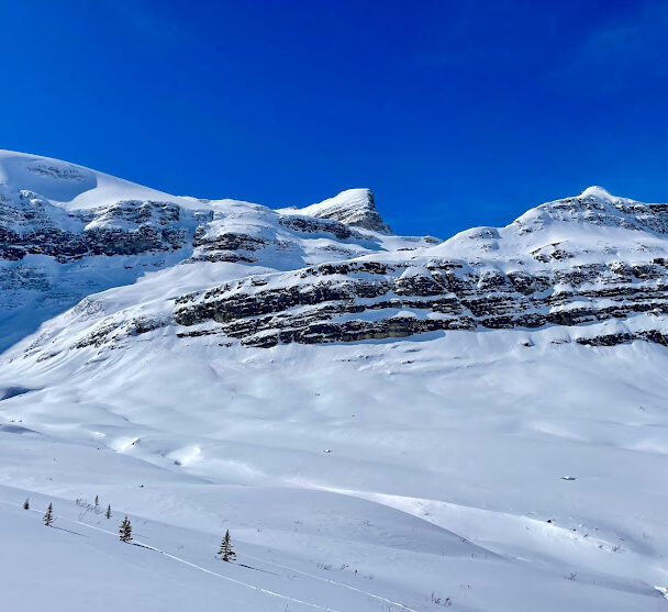 Wapta Traverse backcountry skiing