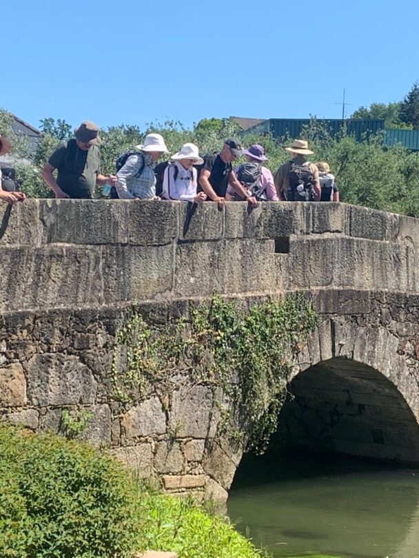 Camino Portuguese 8 day