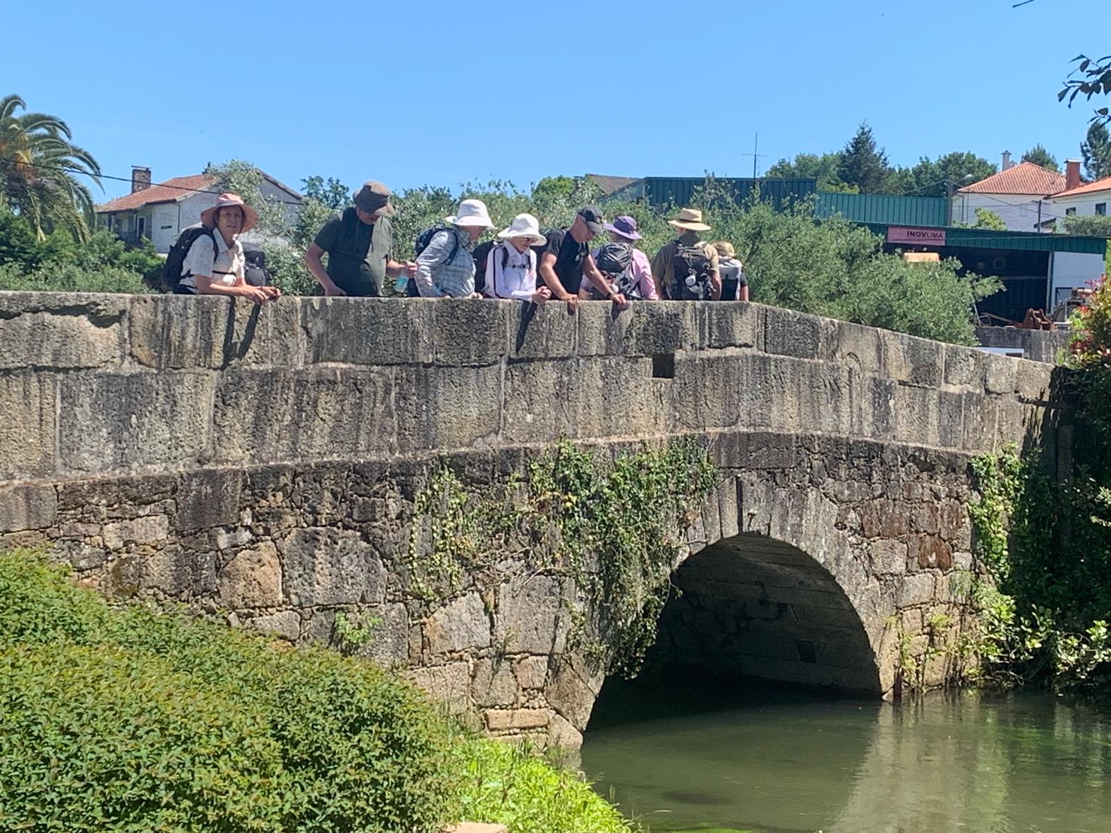 Bridge on the Camino