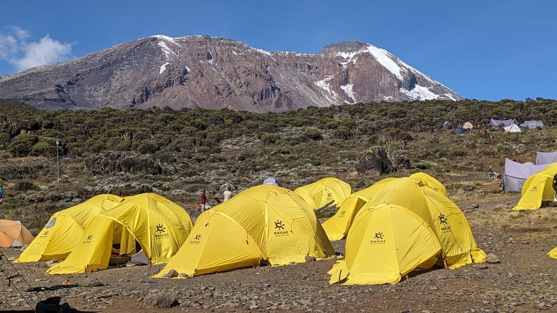 Camp in Tanzania