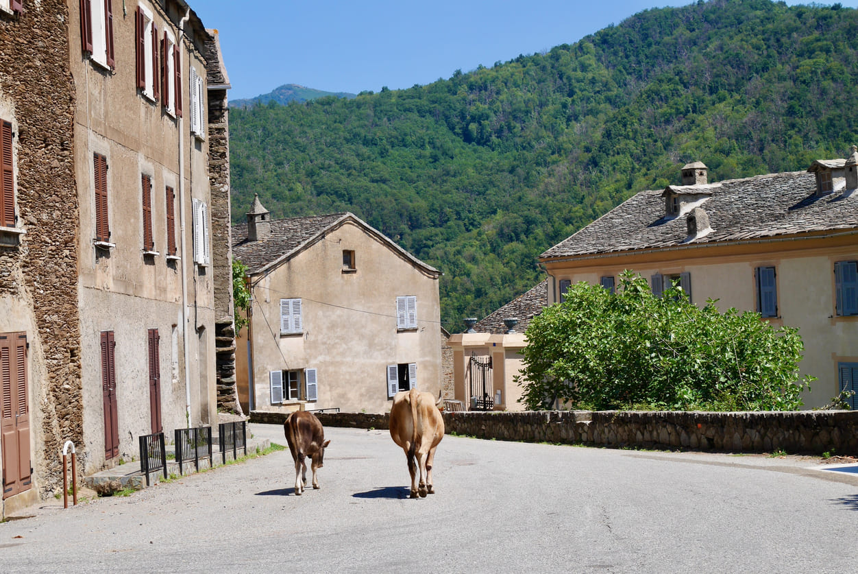 Castagniccia in Corsica