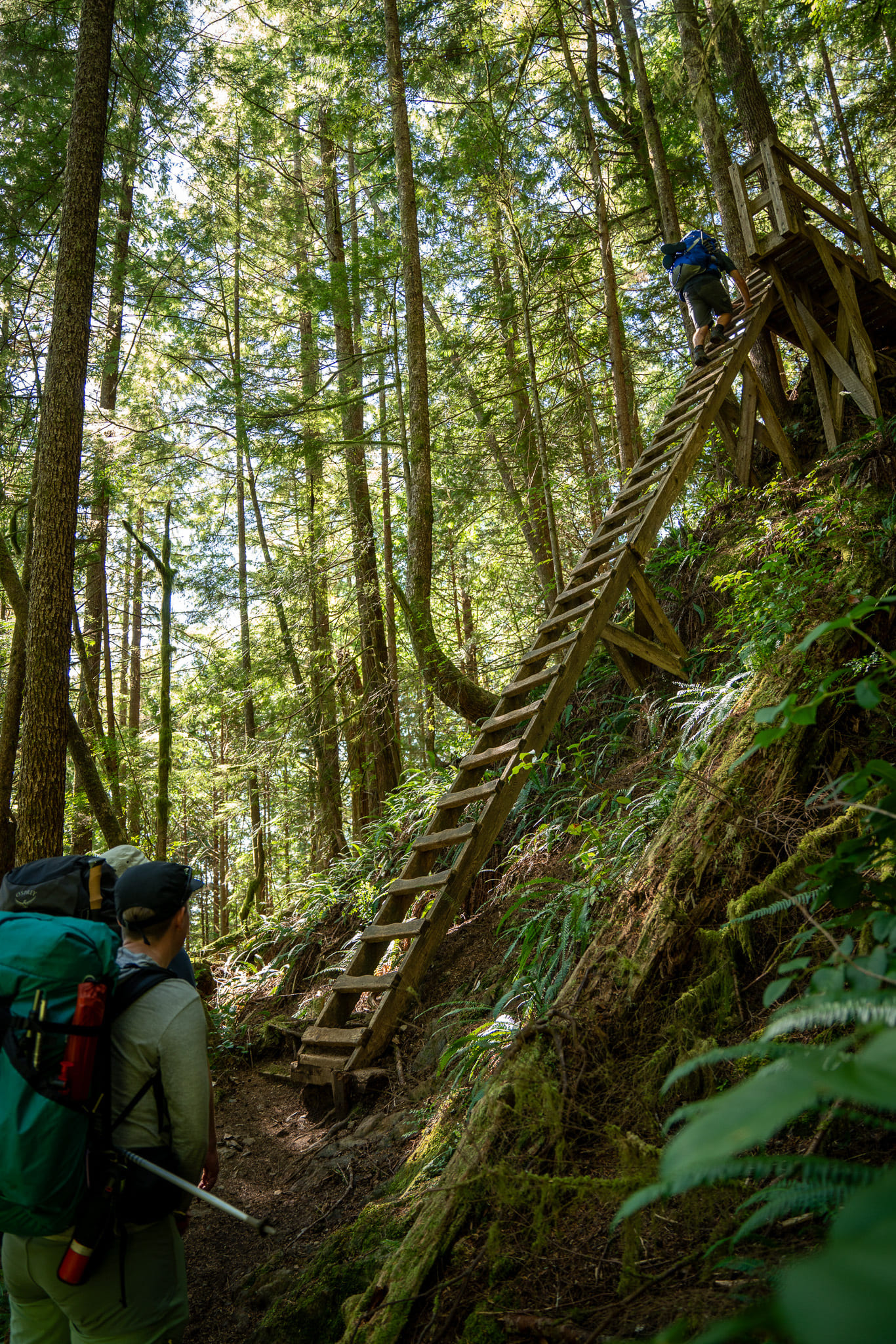 Climbing up a ladder
