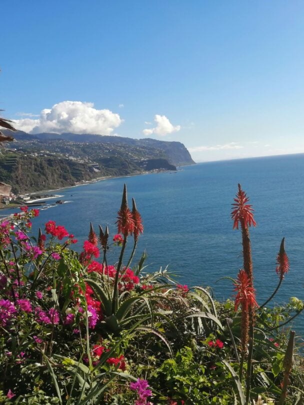Hiking Tour Madeira: 8-Day Guided Island Adventure