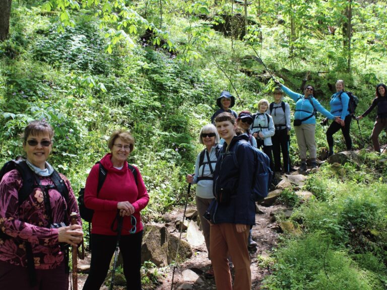 forest hiking smokies