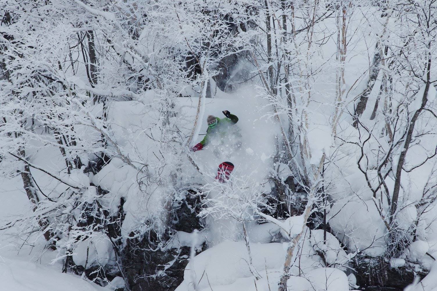 Fresh Japanese powder