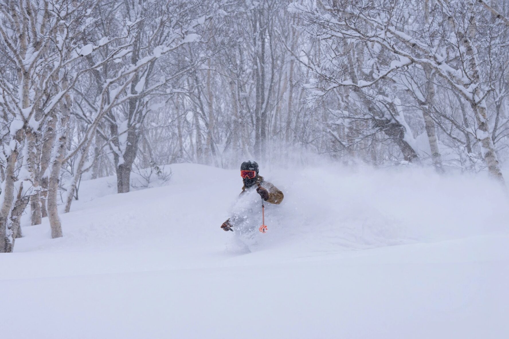 Fresh powder in Japan