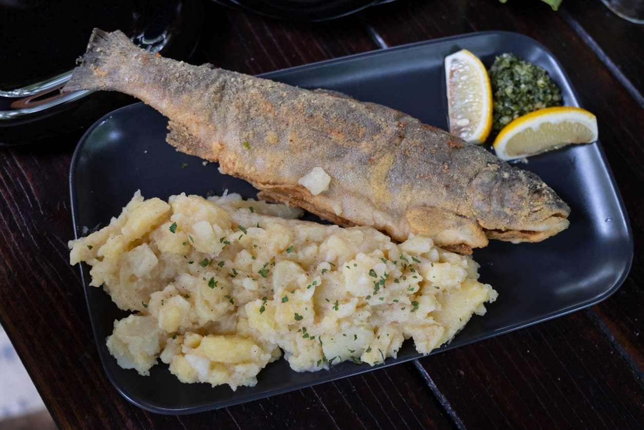 Grilled trout