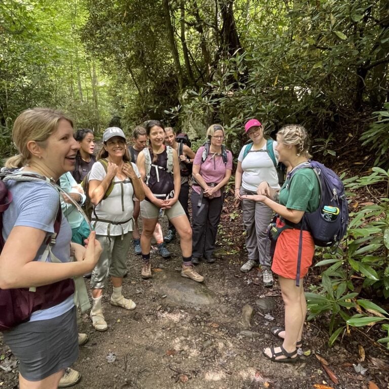 group smoky mountains