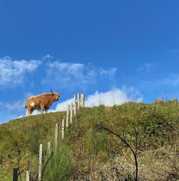West Highland Way Tour