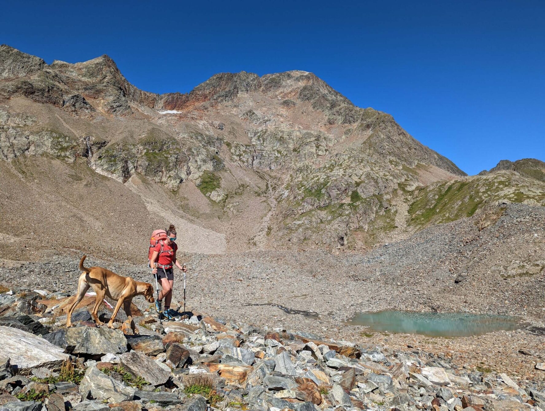 A hiker and a dog in high alpine environment while hiking Glockner Trail