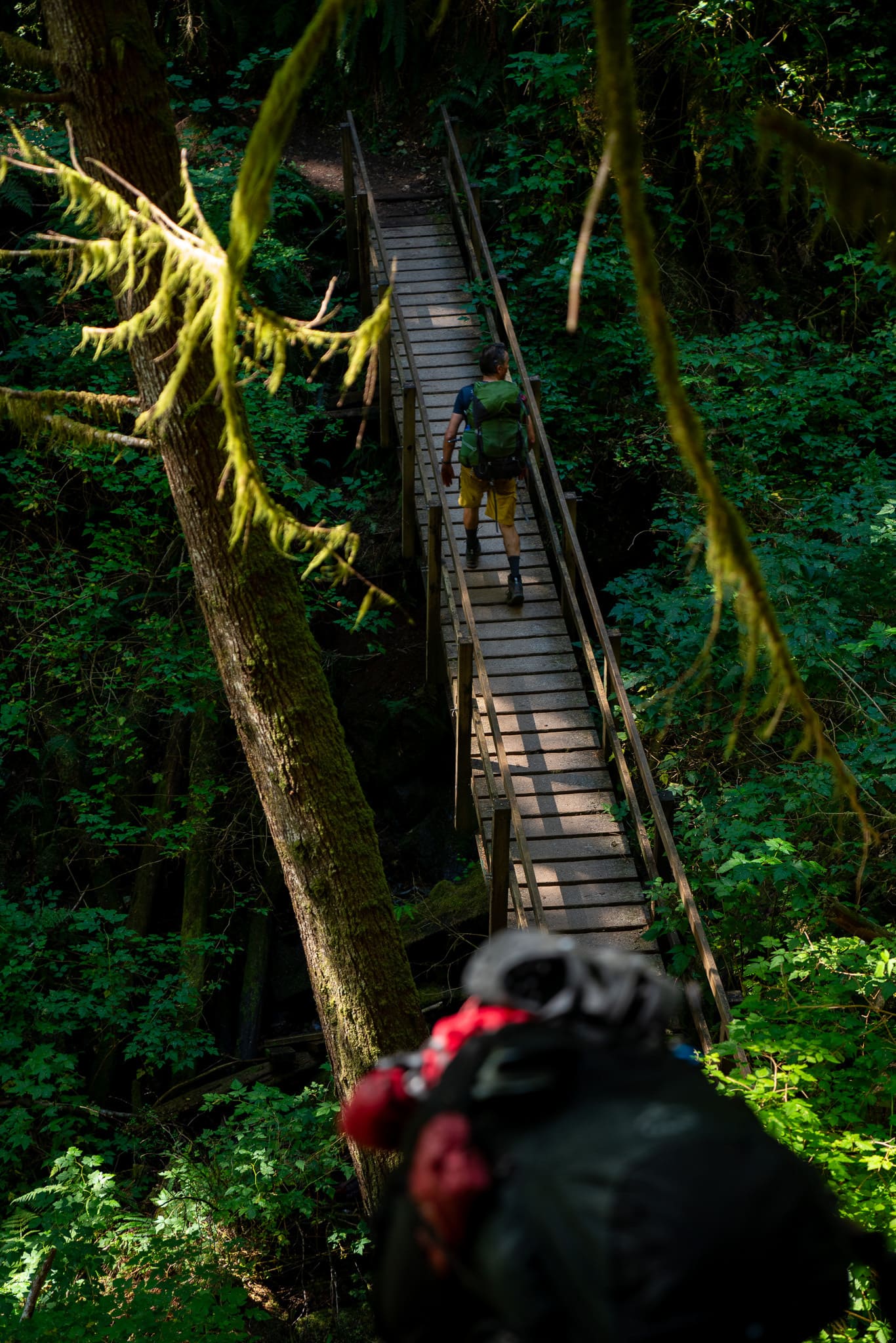 Hiker on a bridge