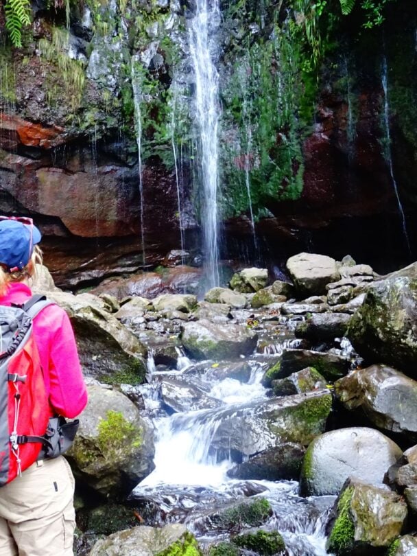 Hiking Tour Madeira: 8-Day Guided Island Adventure