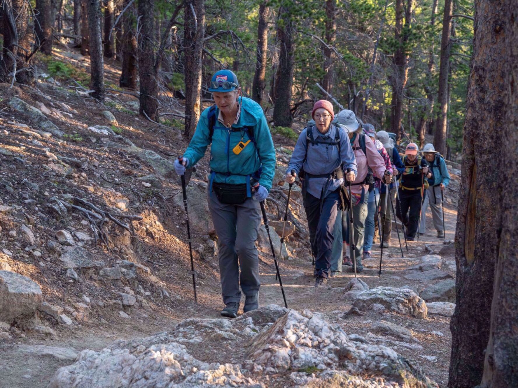 Hikers ascending through a forest in Rocky Mountain National Park