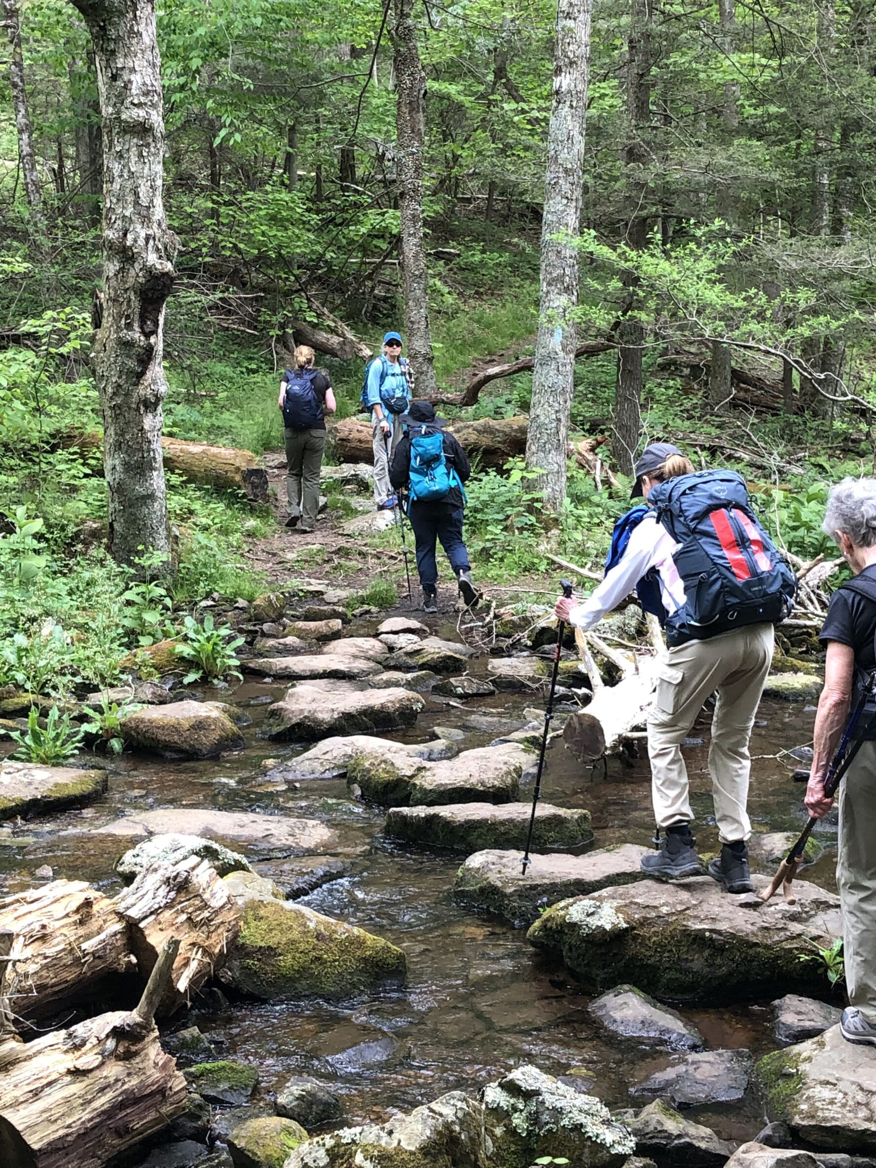 Hikers crossing a stream