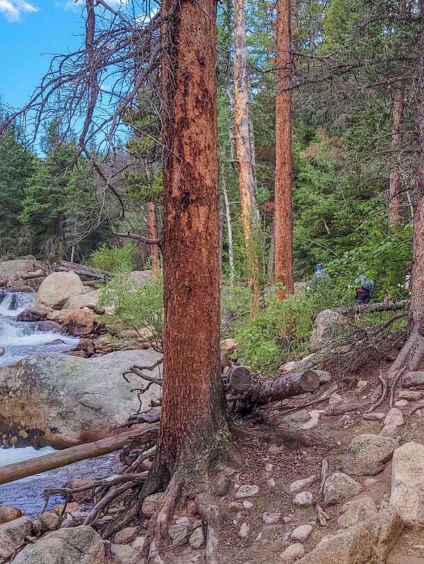 Rocky Mountain National Park: Women-Only Hiking Adventure