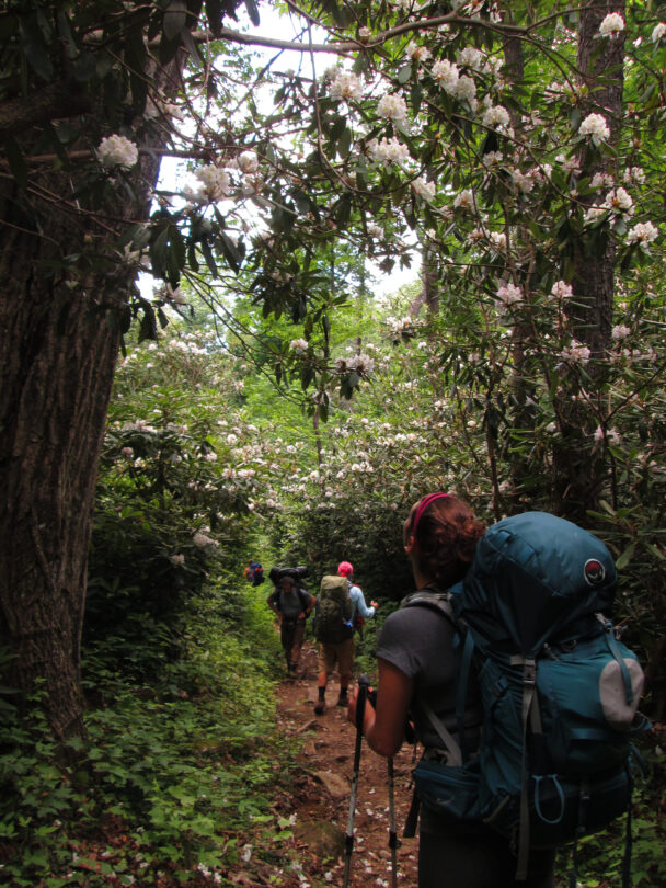 Smoky Mountains kayak tour