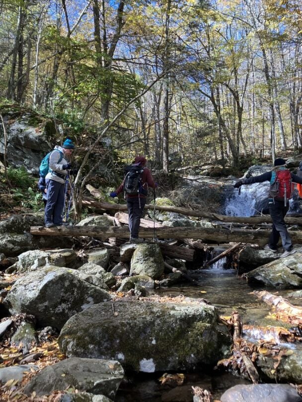 group women shenandoah