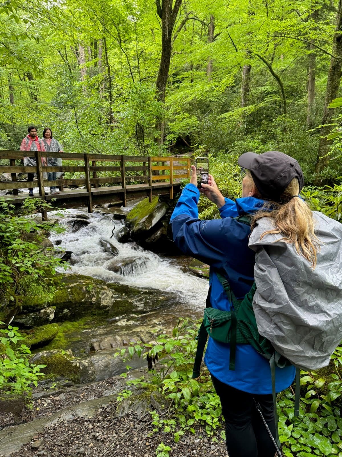 Hikers taking photos