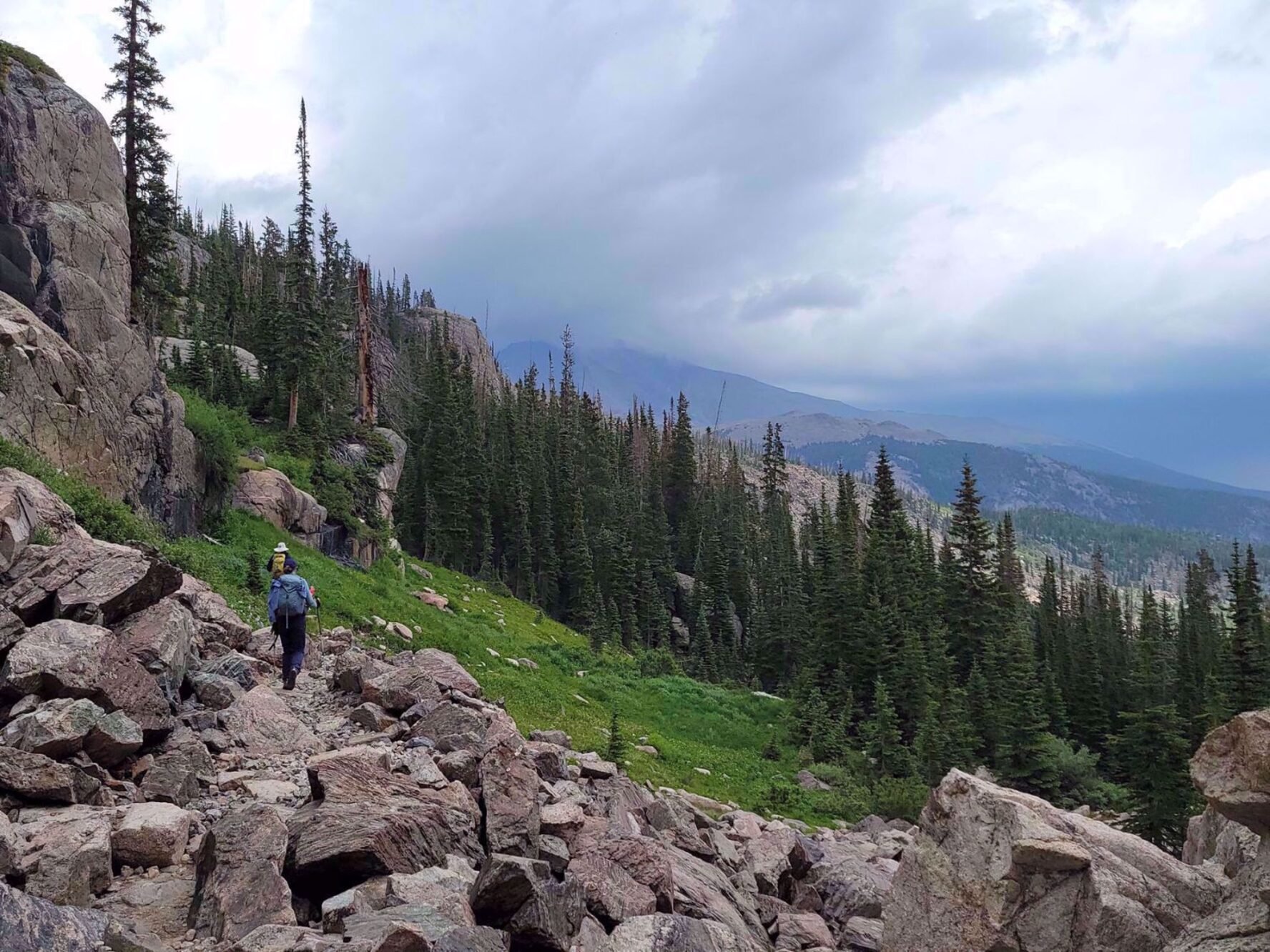 Hikers on a trail near pine trees in Rocky Mountain National Park