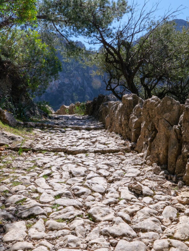 Hiking & yoga retreat in Mallorca