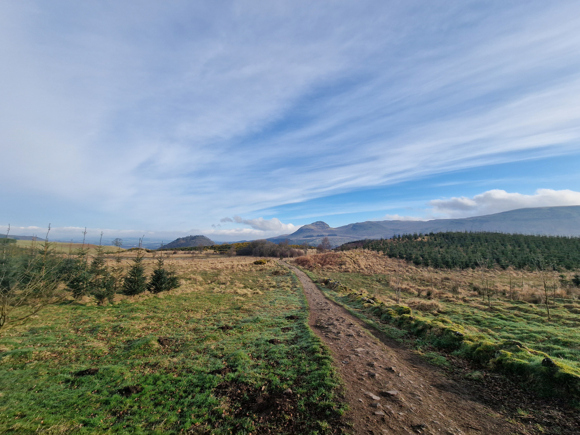 Hiking path near Milngavie on the West Highland Way tour