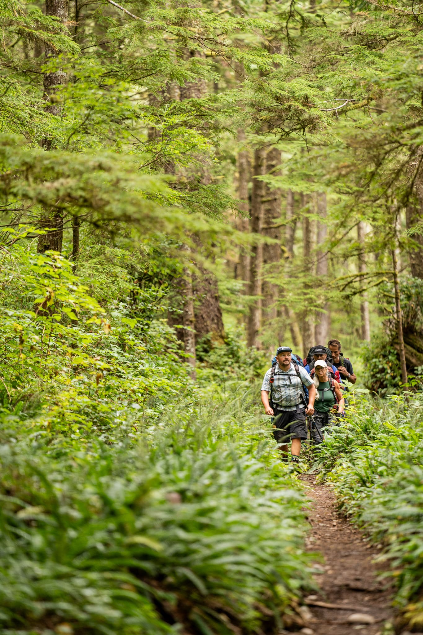 Hiking through greenery