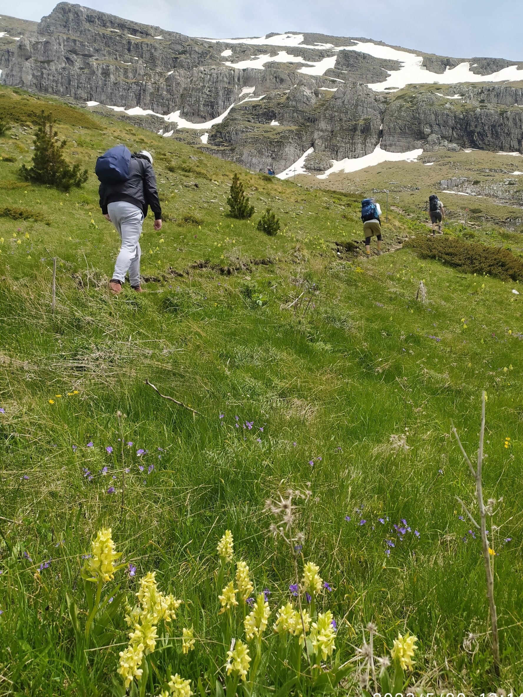 Hiking up the mountain