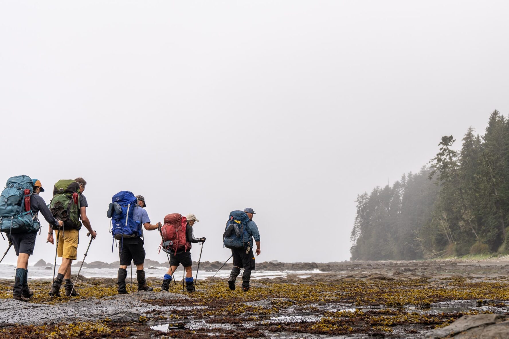Hiking the West Coast trail