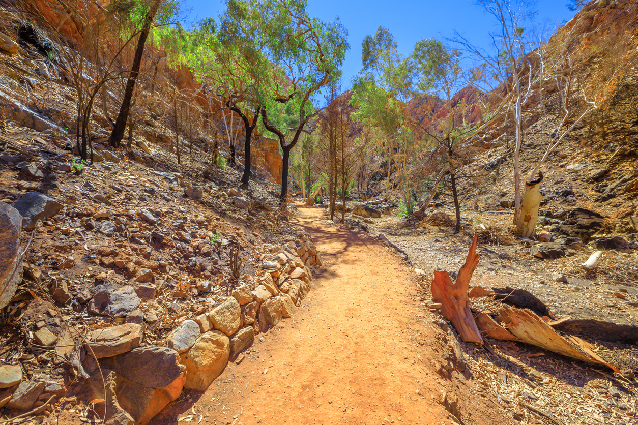 Larapinta trail path