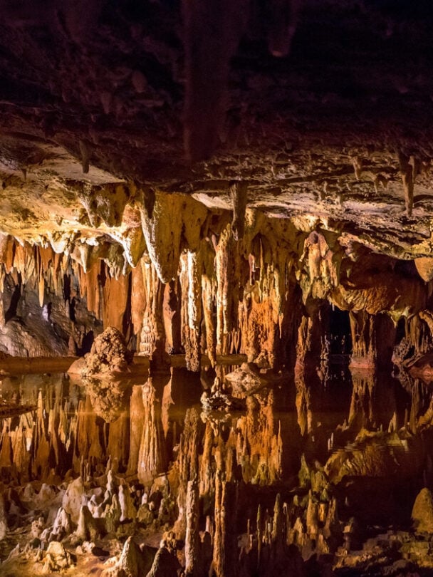 group women shenandoah