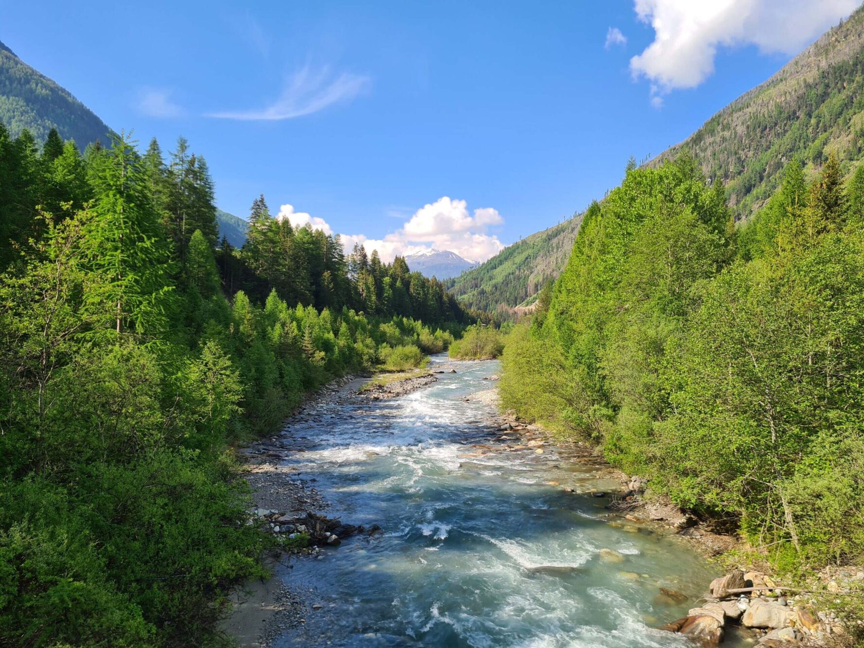 A lush Alpine valley on the Glockner Trail