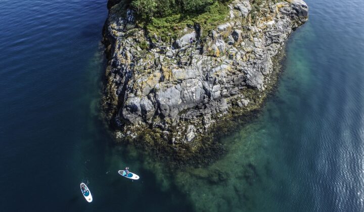 Aerial shot of paddleboarding while sailing Lofoten