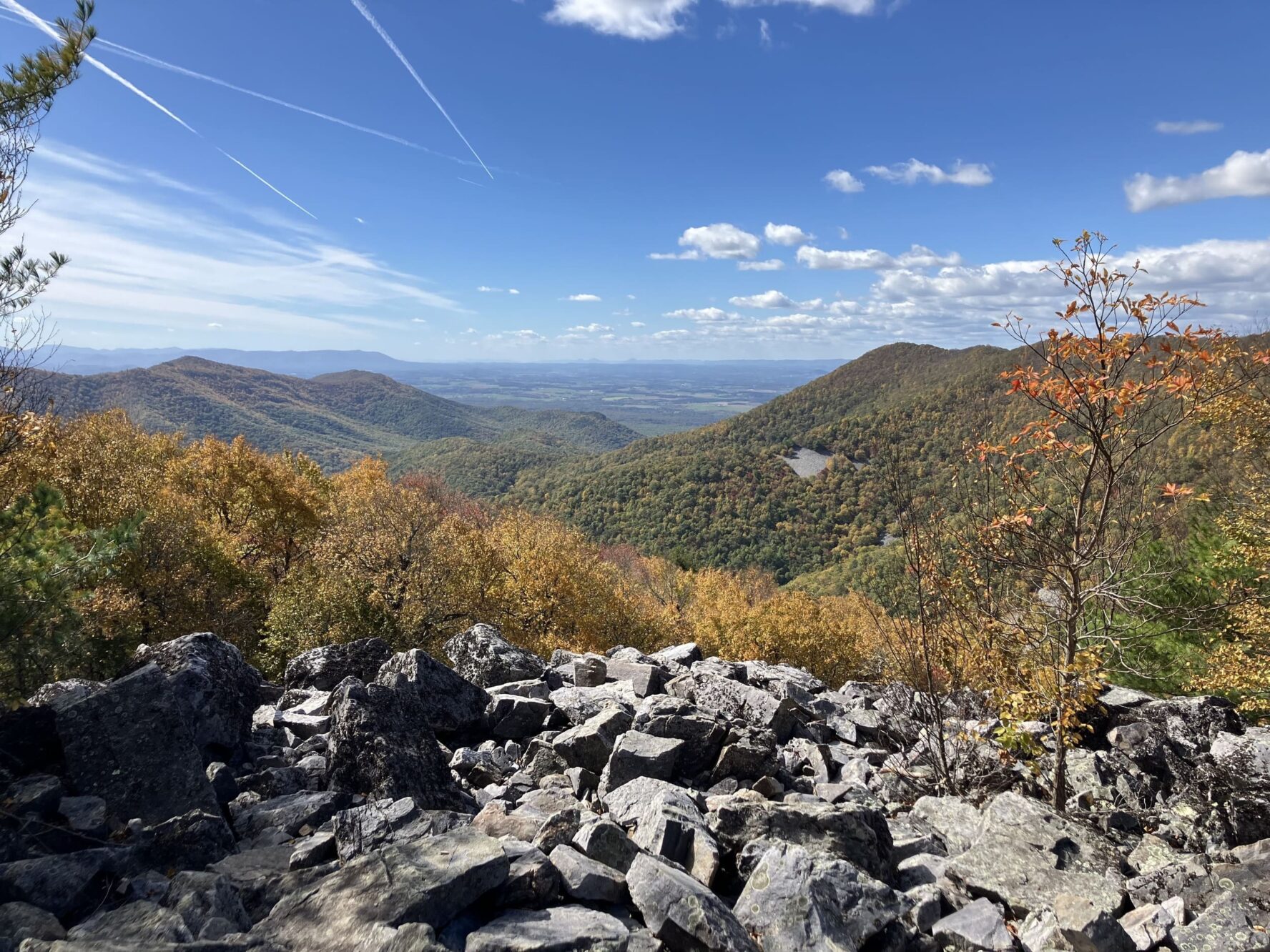 Rocky path in Shenandoah