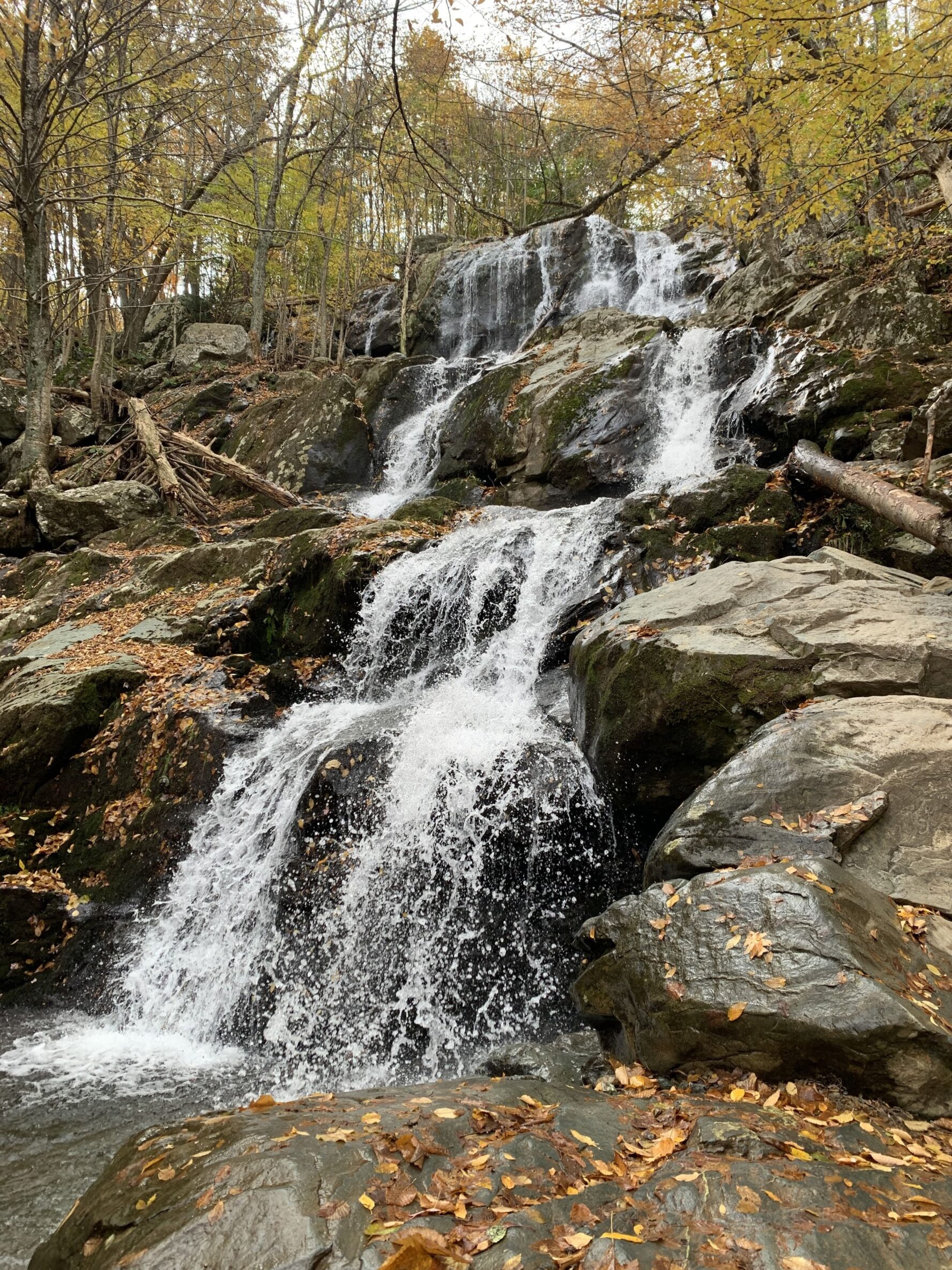 Shenandoah waterfalls