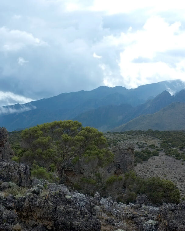 Northern circuit route