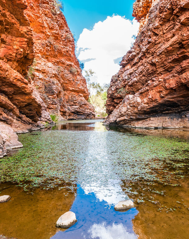 Larapinta hikers posing