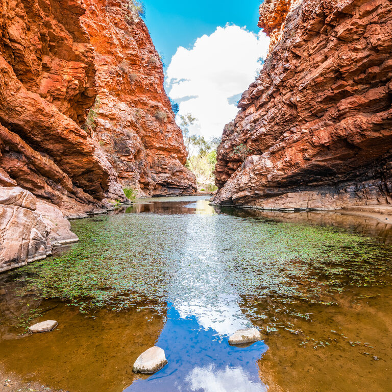 Simpsons gap