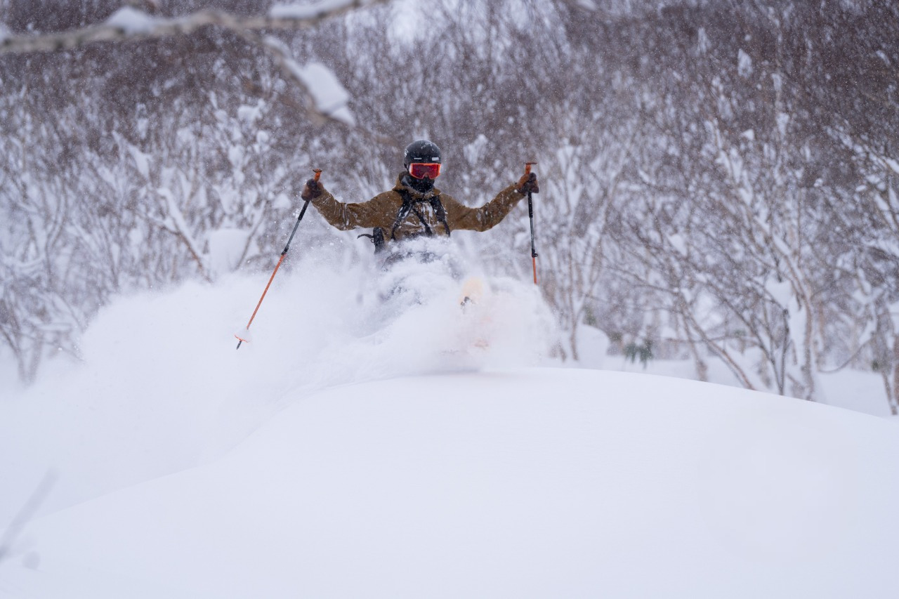 Skier in Japan