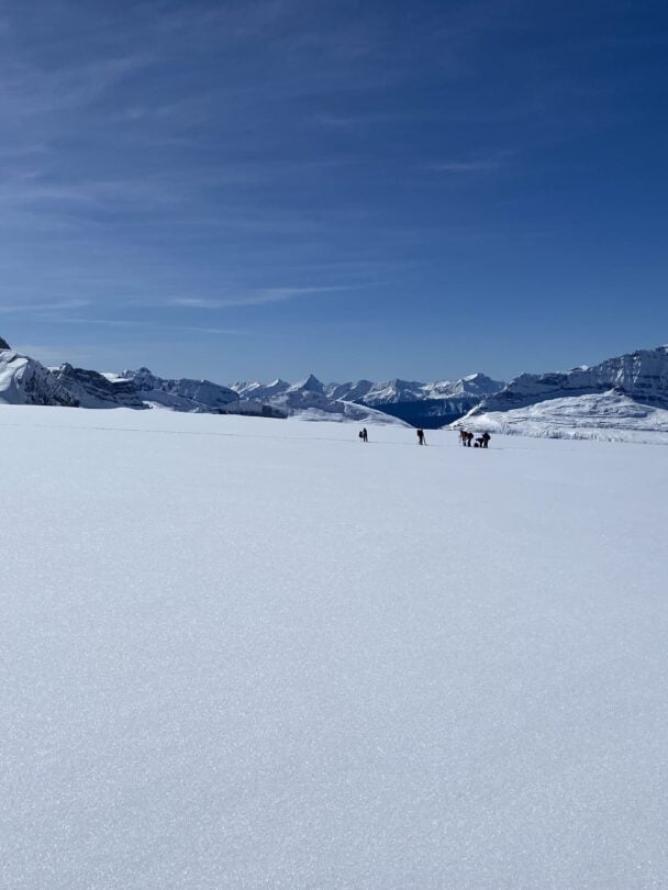 views wapta skiing
