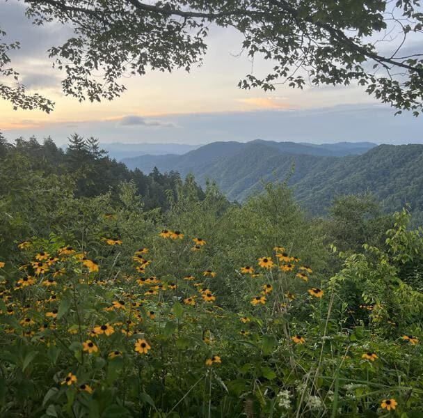 Great Smoky Mountains adventure tour