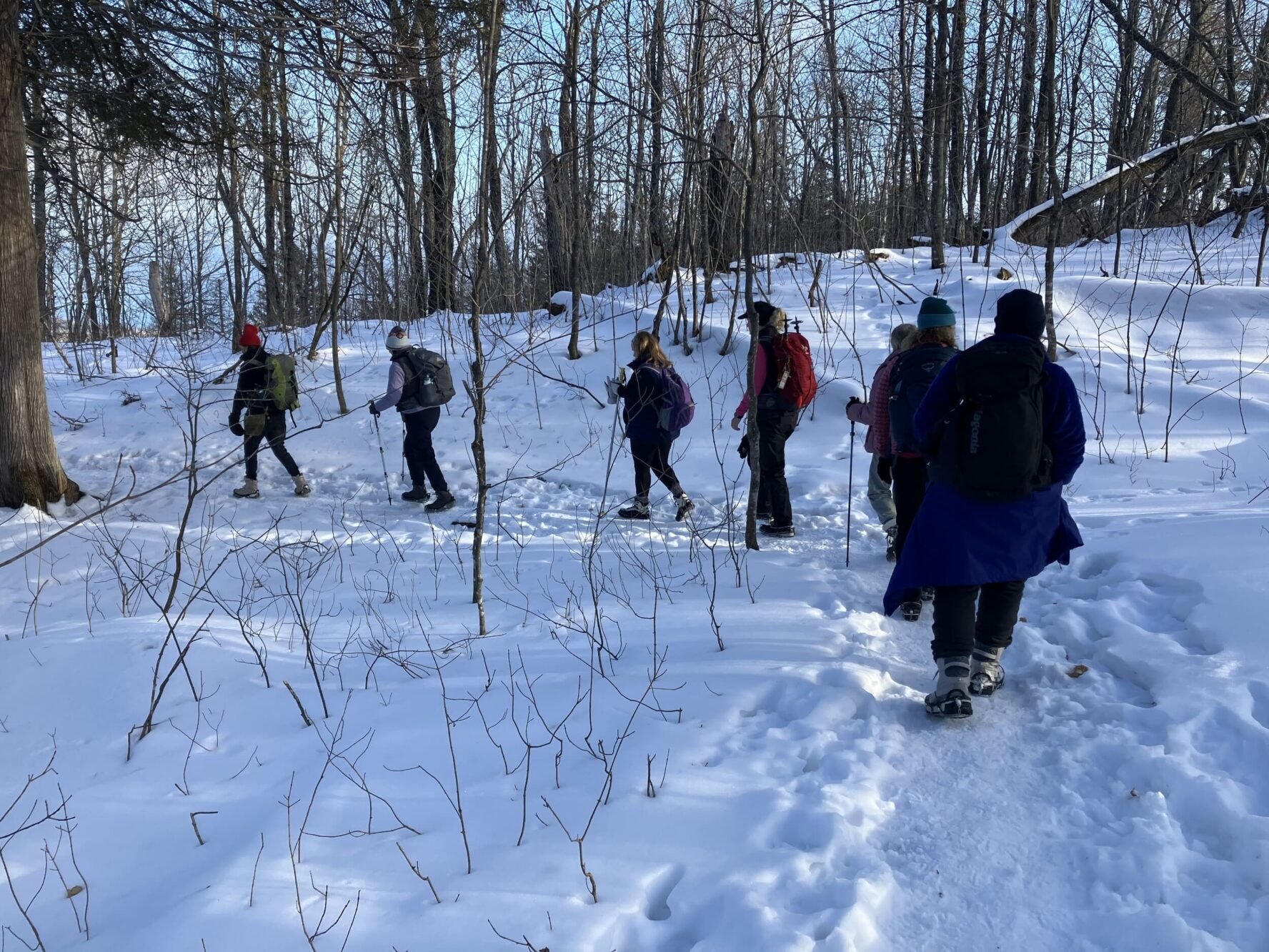 Snowshoeing in Minnesota