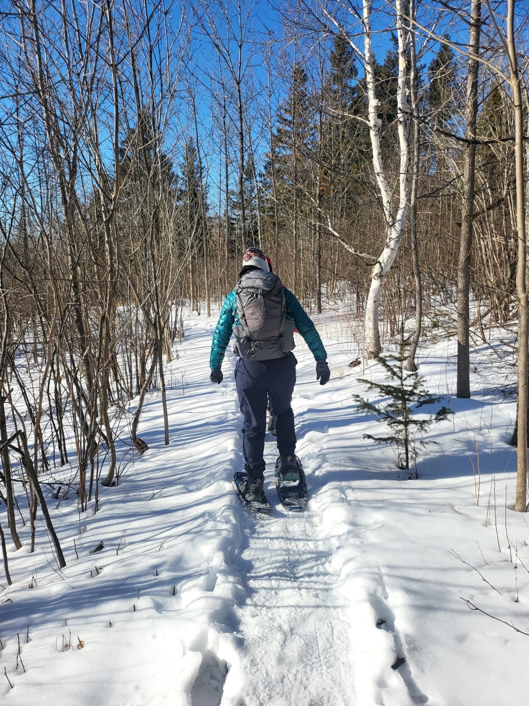 Snowshoeing on a sunny day